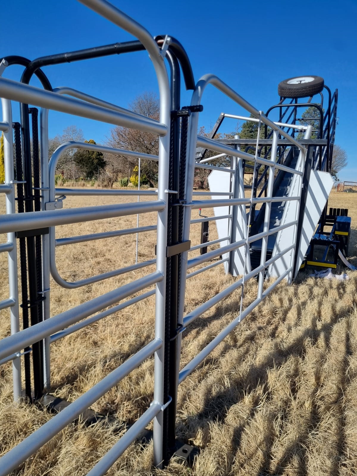 Mobile Loading ramp with kraal and neck clamp